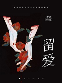 留爱小说